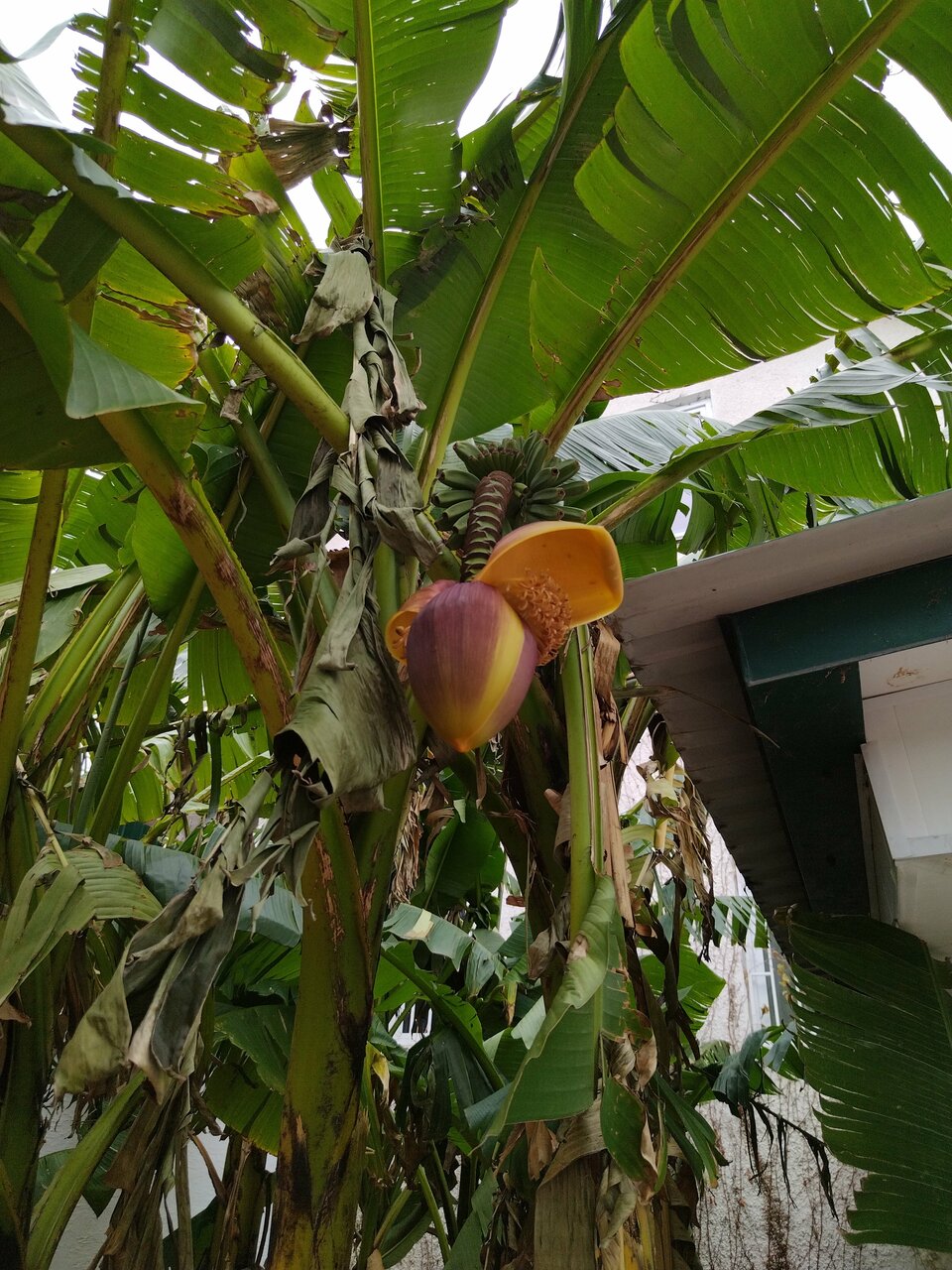 Гостиница Вилла Дежа Вю Адлер-221