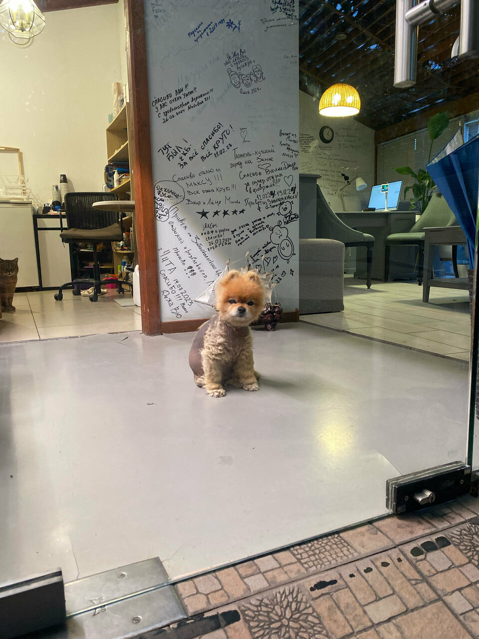 Гостиница Вилла Дежа Вю Адлер-200