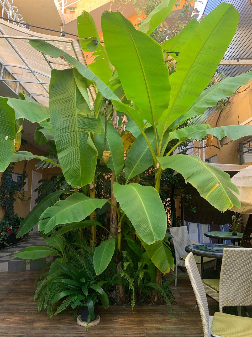 Гостиница Вилла Дежа Вю Адлер-192