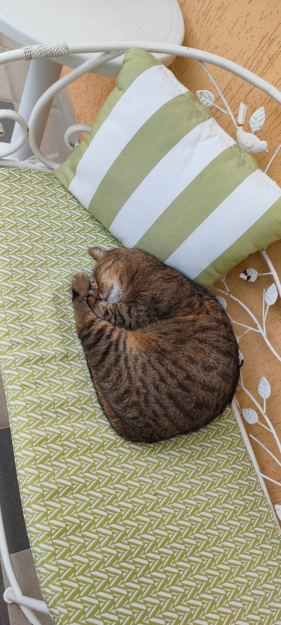 Гостиница Вилла Дежа Вю Адлер-202