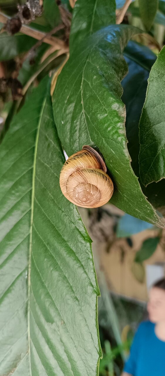 Гостиница Вилла Дежа Вю Адлер-152