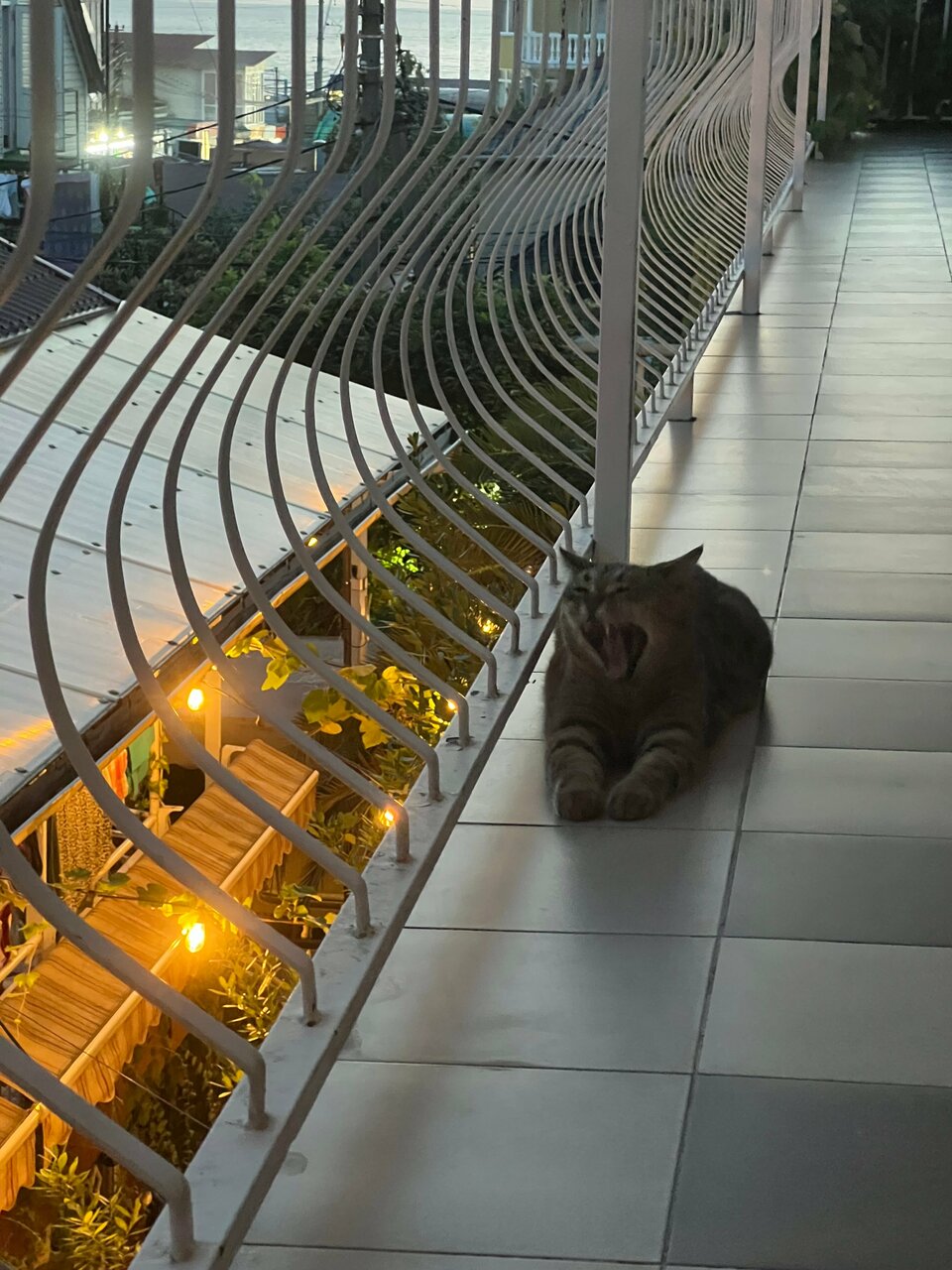 Гостиница Вилла Дежа Вю Адлер-185