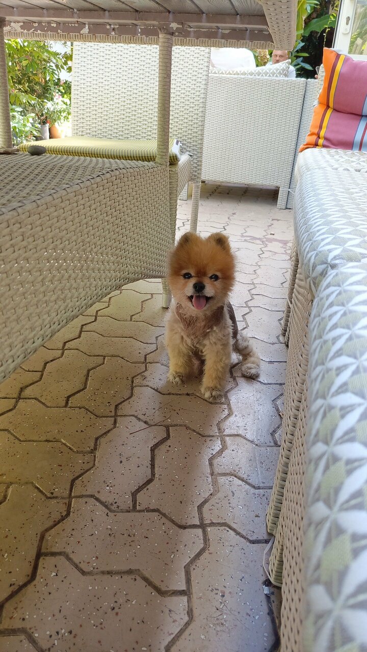 Гостиница Вилла Дежа Вю Адлер-250