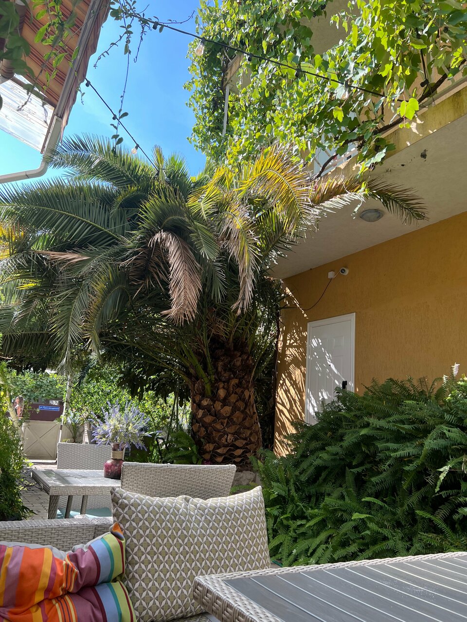 Гостиница Вилла Дежа Вю Адлер-242