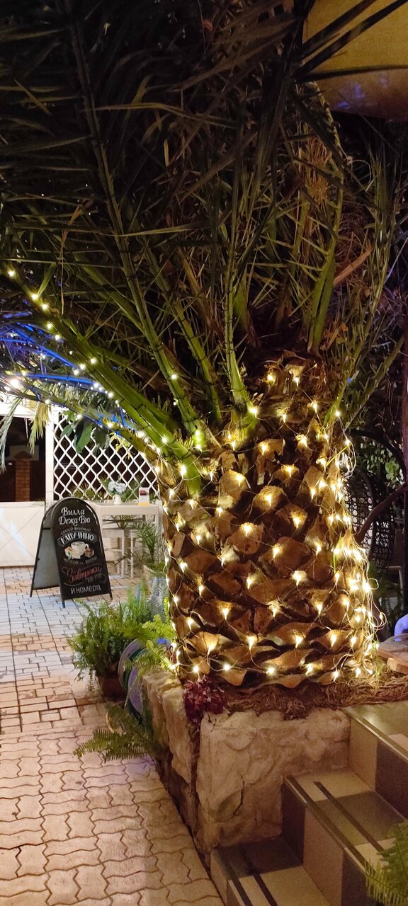 Гостиница Вилла Дежа Вю Адлер-210