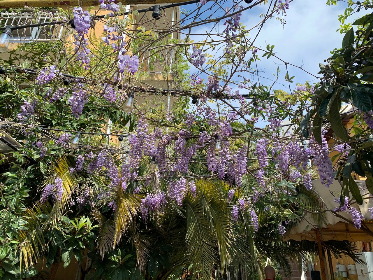 Гостиница Вилла Дежа Вю Адлер-134