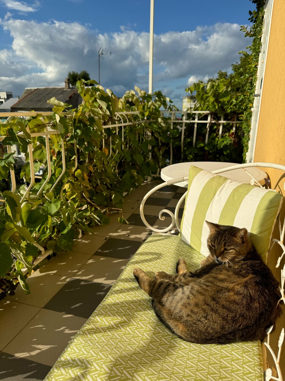 Гостиница Вилла Дежа Вю Адлер-138