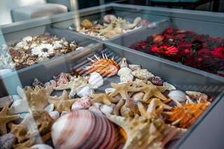 Гостиница Вилла Дежа Вю Адлер-3