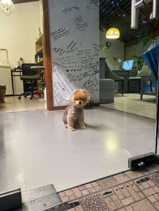 Гостиница Вилла Дежа Вю Адлер-199