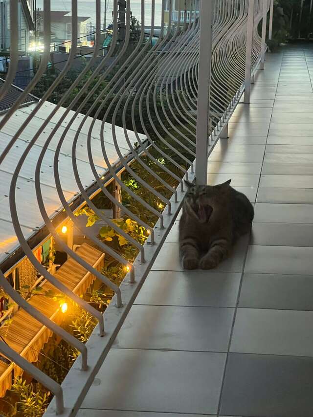 Гостиница Вилла Дежа Вю Адлер-184