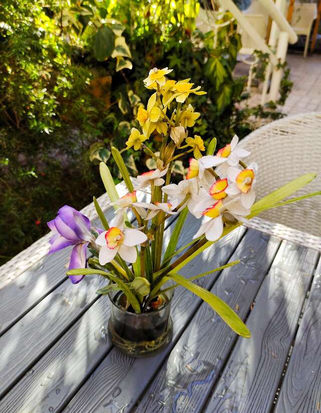 Гостиница Вилла Дежа Вю Адлер-142