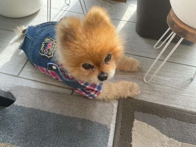 Гостиница Вилла Дежа Вю Адлер-174