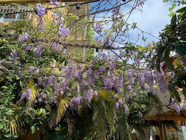 Гостиница Вилла Дежа Вю Адлер-133